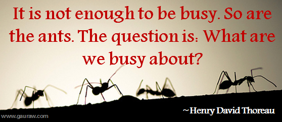 It-Is-Not-Enough-To-Be-Busy-So-Are-The-Ants